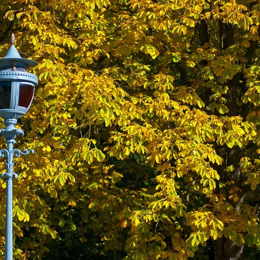 问鼎娱乐博彩牌照